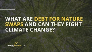What is a Debt for Nature Swap and How Does it Work? | Examples