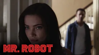 Revenge | Mr. Robot