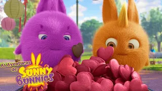 As Aventuras de Sunny Bunnies | Tesouro de São Valentim | Série 4 | Desenhos Animados Infantis