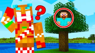 I Hosted a $10,000 Minecraft Hide & Seek