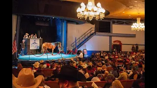 2018 Diamonds In the Desert Premier Horse Sale ~ Vegas