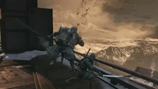 Sekiro: Aggressive High Monk