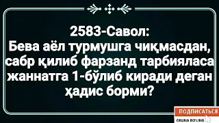 Бева аёл турмушга чиқмасдан,
        сабр қилиб фарзанд тарбияласа
        жаннатга 1-бўлиб киради деганми?