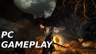 Dragon's Dogma: Dark Arisen - PC Gameplay 1440p 60 fps GTX 970