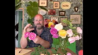 Bonus video,my 12”most drought tolerant”@david_austin_roses #gardenerben FULL RELOADED