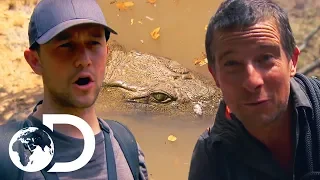 Joseph Gordon-Levitt Unexpectedly Runs Into A Huge Crocodile!  | Running Wild With Bear Grylls