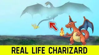 Pokemon In Real Life 2021 (Part 6) | Real Life Pokémon In Hindi | Real Life Charizard | AIO Mystery