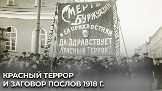 Красный террор vs заговор послов Англии, Франции и США 1918 г. Петроград-Москва