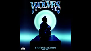 Big Sean - Wolves (Remix/Mashup) feat. Eminem