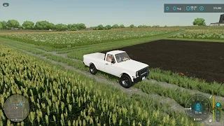 The best place to build a farm in Elm Creek  Farming Simulator 22 with 1.5 million starting money.