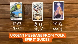 Urgent Message From Your Spirit Guides! ✨🕊  💌   😮✨ | Timeless Reading