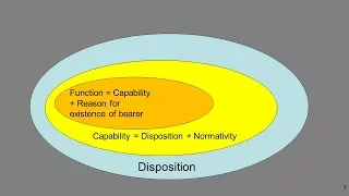 What do IQ tests measure?