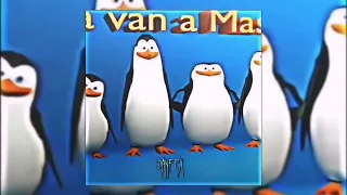 DIKA VIKA X Los pingüinos me la van a mascar (edited) (slowed)