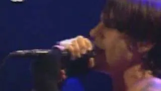 Red Hot Chili Peppers - Californication Live