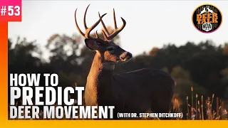 #53: HOW TO PREDICT DEER MOVEMENT with Dr. Stephen Ditchkoff | Deer Talk Now Podcast