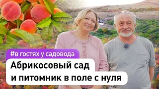 Абрикосовый сад и питомник саженцев в поле с нуля своими руками