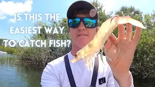 Fishing with Live Shrimp II Catching Multiple Species and Some SOLID Fish on Gheenoe