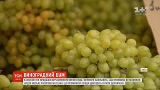 В Україні пік продажів вітчизняного винограду