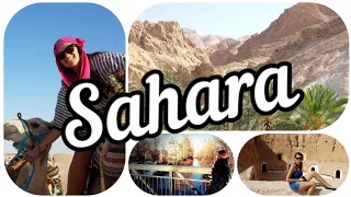 Saharastaub in Deutschland: Vor- und Nachteile der vielen Grüße aus Nordafrika