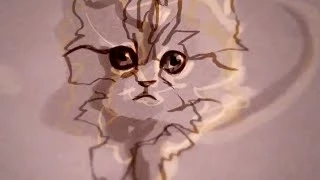 Cat Animation - The Cats of YouTube (Richard Swarbrick) @RikkiLeaks