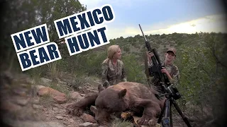 New Mexico Bear Hunt