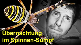 Hab im Sumpf voller Spinnen übernachtet! Das ist passiert