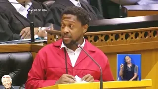 Dr Ndlozi Shames ANC Members Of Parliament