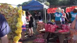 США 589: Begonia festival in Capitola