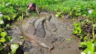 Hand Fishing Video.  The sight of village Boy fishing is really very pleasant and interesting.