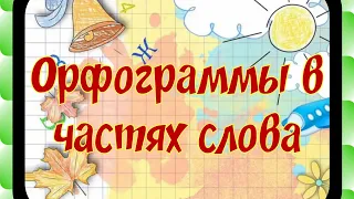 Орфограммы в частях слова