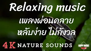 เพลงผ่อนคลาย หลับง่ายฟังเสียงธรรมชาติ Relaxing music/nature sounds #relaxing #music #naturesounds