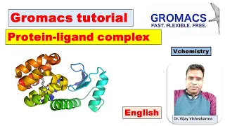 Protein Ligand MD simulation Gromacs