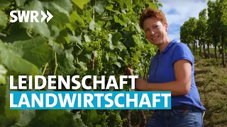 Durch Weinprobe zur Landwirtschaft (2/6) | Lecker aufs Land - Die Überraschungskiste