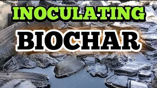 The Easy method for inoculating BIOCHAR!