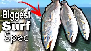 Biggest Spec of the Year | Rough Surf | Wade Fishing the Surf