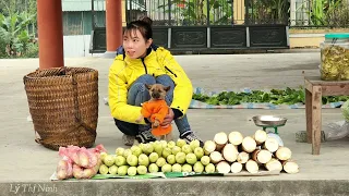 Harvest Giant Bamboo Shoots & Sticky Corn to go to the market to sell | Build New Life, Lý Thị Ninh