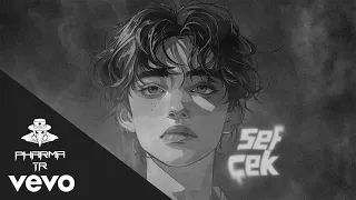 sef - Çek