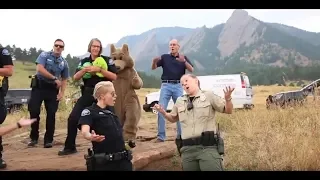 Boulder Police Department Lip Sync Challenge