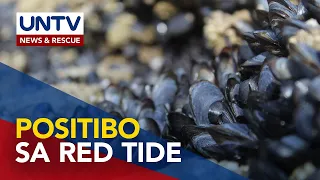 4 lugar sa bansa, positibo sa toxic red tide — BFAR