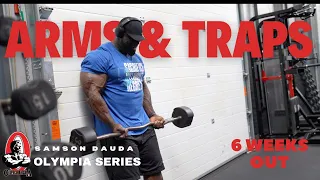 Mr Olympia 2023 series | Arms & traps  workout 6 weeks out | Samson Dauda