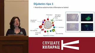 Imunski sistem creva i dijabetes tipa 1  dr Ivana Stojanović  Kolarac