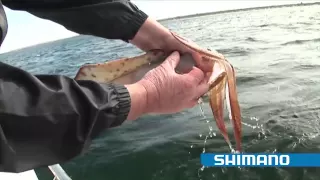 How to catch Squid "Part 1" - SHIMANO FISHING