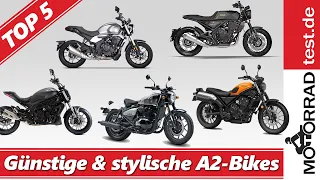 Top 5 günstige & stylische A2-Motorräder | VERGLEICH