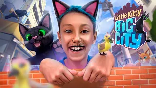 VIREI UM GATINHO PERDIDO NA CIDADE GRANDE (Feliplay) - Little Kitty, Big City