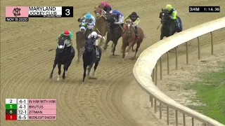 Laurel Park 11 15 2020 Replay Show