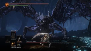 SL120 NG+7 Midir, Exile Greatsword