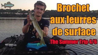 Brochet aux Leurres de Surface - The Summer Trip 4/6 Lacanau