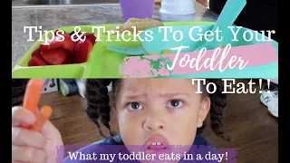 TIPS AND TRICKS TO GET YOUR TODDLER TO EAT!! What My Toddler Eats In A Day!