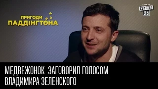 Медвежонок из фильма "Приключения Паддингтона" заговорил голосом Владимира Зеленского