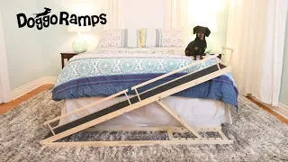 Introducing DoggoRamps - The Small Dog Bed Ramp